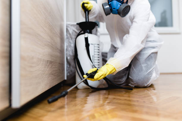 Best Mosquito Control Services  in Archer, FL