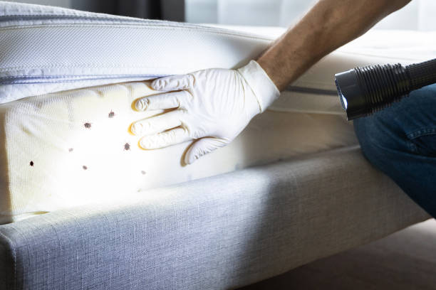 Best Emergency Pest Control  in Archer, FL