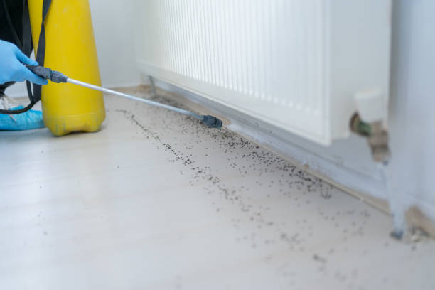 Best Bed Bug Extermination  in Archer, FL
